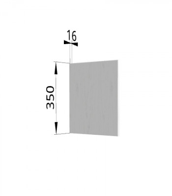 Панель торцевая (для шкафа горизонтального) ПГ Ройс (Графит софт) в Колыбельке - kolybelka.mebel54.com | фото