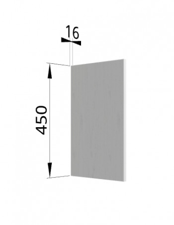 Панель торцевая (для шкафа горизонтального высокого) ВПГ Ройс (Графит софт) в Колыбельке - kolybelka.mebel54.com | фото